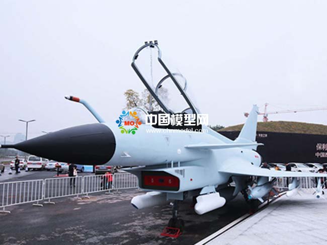 殲-10戰斗機模型