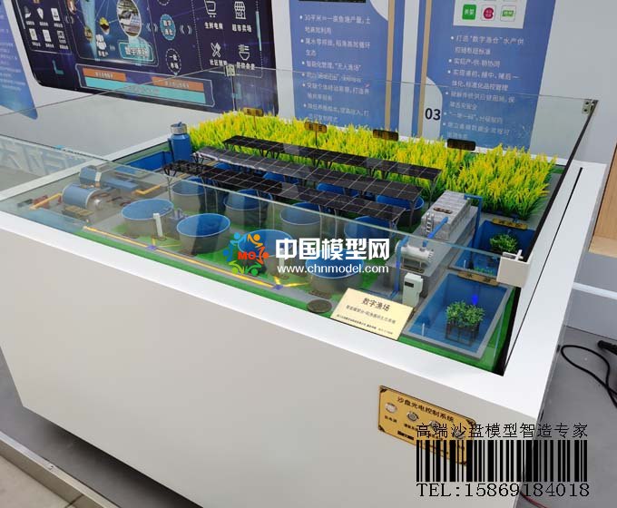 數字養殖沙盤模型，稻魚共生模式打造數字漁業樣板