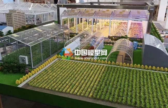 農(nóng)業(yè)大棚模型，畜牧養(yǎng)殖沙盤(pán)模型